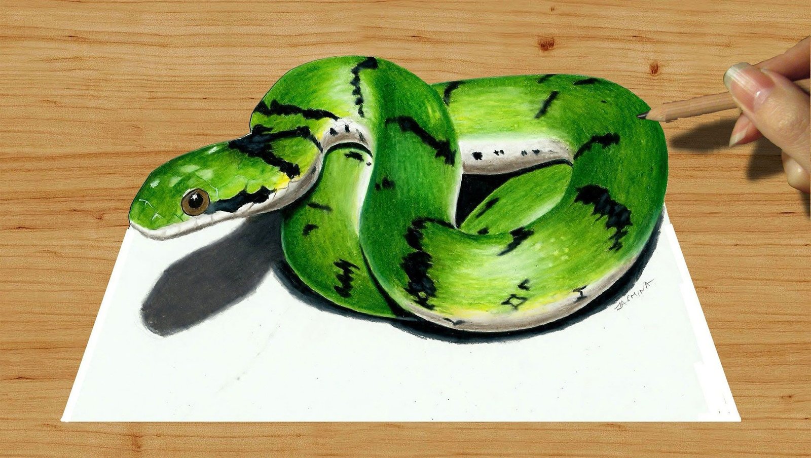 Dibujos de serpientes